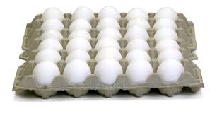 egg trays 