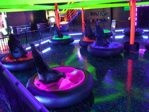 Spin Zone Dodgem Cars