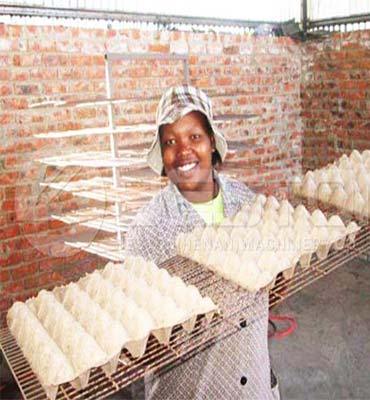 Egg-Tray-from-Africa