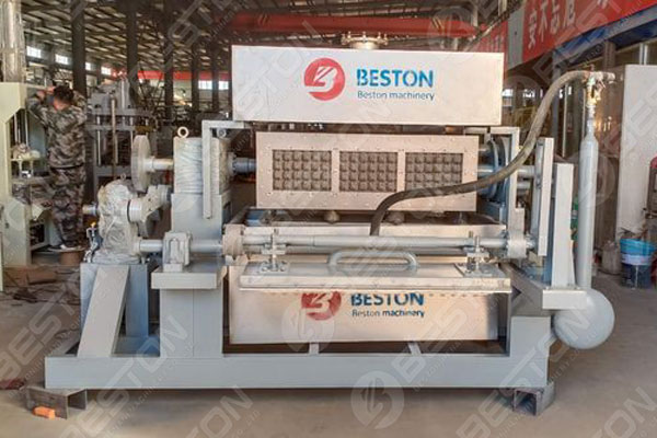 Beston Egg Tray Machine for Sale