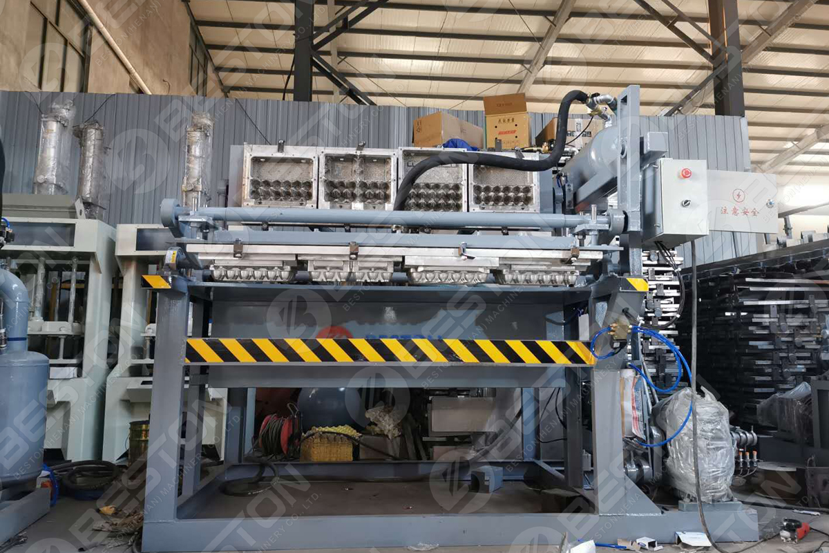 Egg Carton Making Machine