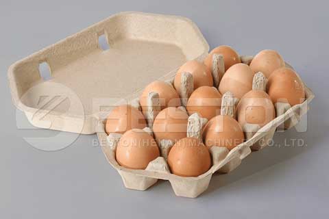 Egg Carton