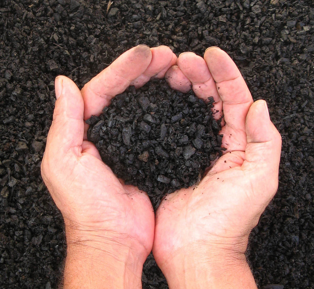 Charcoal for Soil